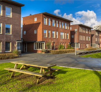 Wards of Kent-Services-Buy to Let